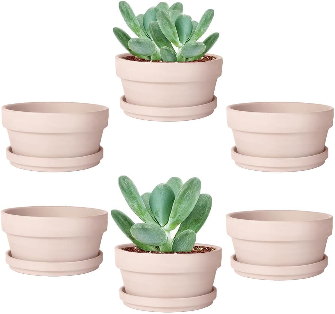 vensovo 3.7 Inch Terracotta Shallow Succulent Pots with Saucers, 6 Pack