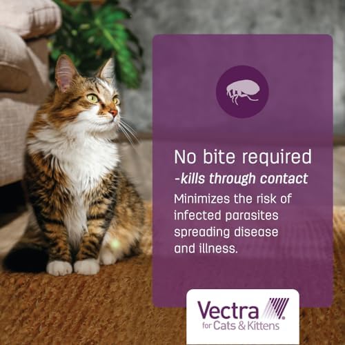 Vectra for Cats Flea Treatment & Prevention for Large Cats (Over 9 lbs.) 6-Month Supply | No Prescription Required