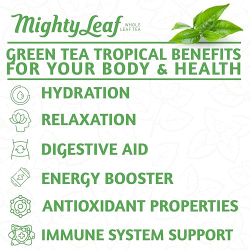 Mighty Leaf Green Tea Tropical – 100 Count Whole Leaf Green Tea Bags – Pyramid Sachets with Pineapple, Tropical Fruit & Floral Flavors – Antioxidant-Rich, Lightly Caffeinated