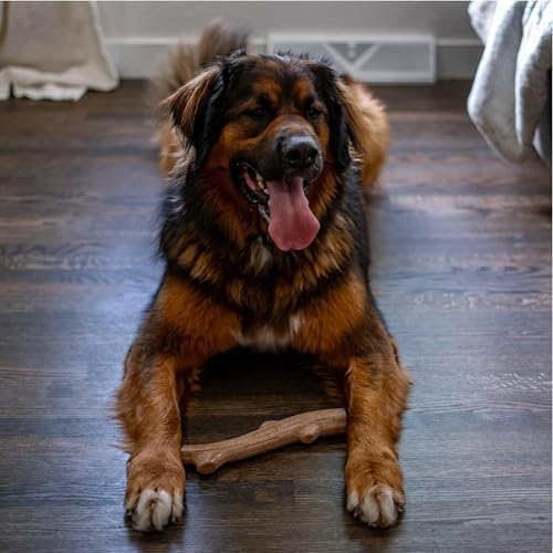 Pupstages Super Dogwood Stick Dog Chew Toy, Made in USA, X-Small, 6"