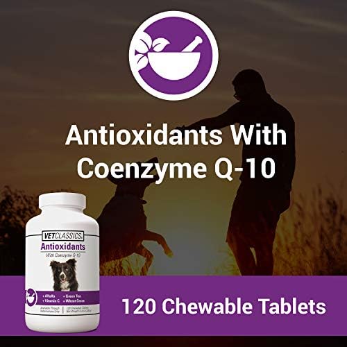 Coenzyme Q-10 Antioxidant Dog Supplement – Pet Health Supplement for Dogs – Supports Overall Dog Wellness, Aging – Includes Green Tea, Vitamin C