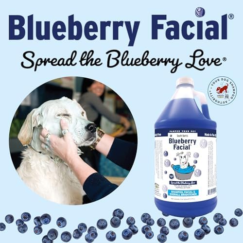 South Bark's Blueberry Facial® Pet Shampoo 12 oz. | Brightener & Tear Stain Remover | Long-Lasting Odor Eliminator | Cruelty-Free | Paraben-Free | Made in The USA