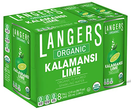 Langers Organic Flavored Sparkling Water, Ginger, 12 Fl Oz (Pack of 8)