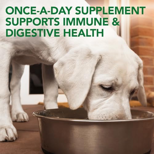 Vet's Best Probiotic Soft Chews for Dogs, Digestive Aid, 30 Day Supply | Probiotic Soft Chews, Supports Digestive Health & Healthy Gut Flora, Daily Supplement for Dogs, 30 Day Supply