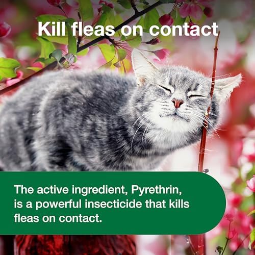 Advantage Cat Flea Treatment Spray | Kills Fleas & Ticks | Cat Flea Spray | 8 oz.