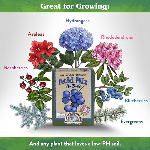 Down To Earth All Natural Fertilizers Organic Acid Mix - 4-3-6, 1 lb | Plant Food for Blueberries, Raspberries, Azaleas, Camellias, Rhododendrons, Hydrangeas, Evergreens and Acid-Loving Plants