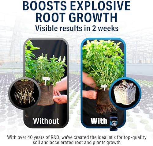 Great White Mycorrhizal Fungi 1 oz, Beneficial Bacteria for Plant Growth, Root Stimulator, Concentrated 3-in-1 Formula by Plant Success (1 oz)