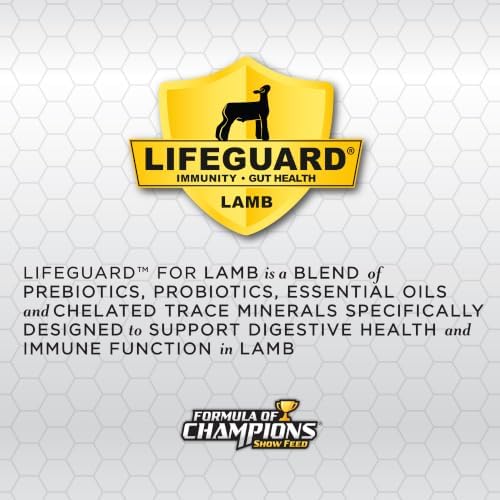 Show Star Textured Feed for Young Growing Lambs, 50 lb Bag
