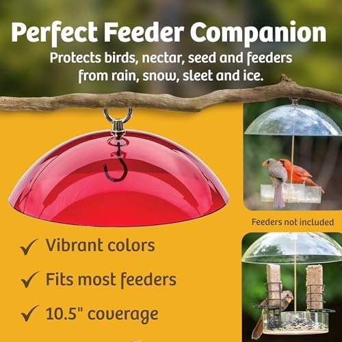 Birds Choice Red Bird Feeder Dome | 10.5" Rain Guard Cover for Hanging Bird Feeders | Outdoor Weather Guard to Help Keep Seed Dry | Domed Acrylic Outdoor Weather Guard for Hanging Feeders to Keep Seed Dry, Heavy-Duty Chrome-Plated Hanger and Hook