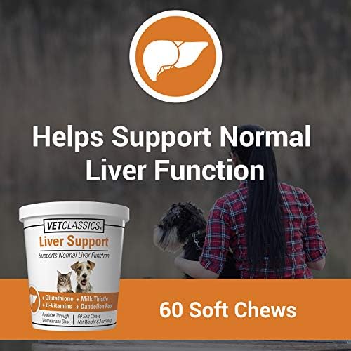 Liver Support Pet Health Supplement for Dogs, Cats – Liver Functions – B-Vitamins, Glutathione, Milk Thistle – Soft Tablets, Chews – 60 Chewable Tablets