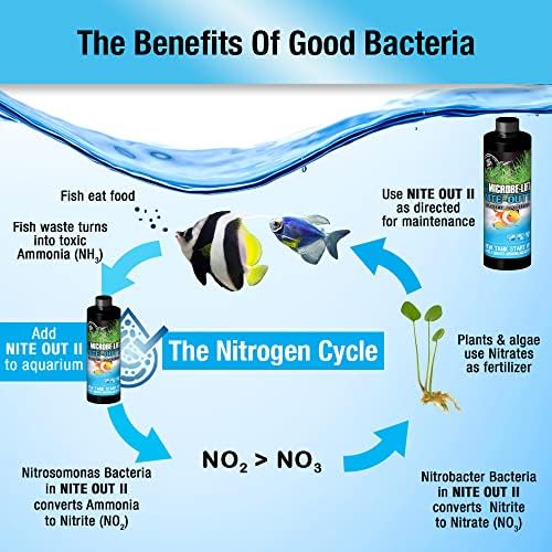 MICROBE-LIFT Nite-Out II Aquarium Bacteria for Start-up, Instantly Cycle Aquariums, Add Fish on Day 1, Rapid Ammonia and Nitrite Reducer for Freshwater & Saltwater Fish Tank, 16 Ounces (NITEH16)