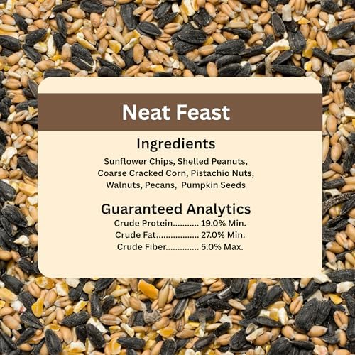 Blue Seal Neat Feast Wild Bird Seed | Convenient Shell-Free Mix | Attracts Wide Variety of Birds | 20 Pound Bag