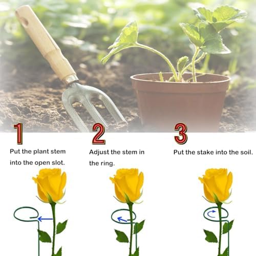 10 Pieces 24 inch Green Single Stem Plant Stakes Flower Support Rings,Gardening Planter Cages for Single Stem Flowers, Amaryllis, Peony, Lily,Narcissus