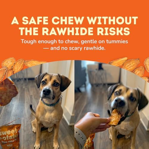 Davie's Sweet Potato Dog Treats - Natural Dog Chews, 1 lb.
