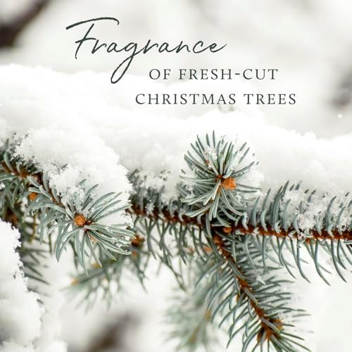 Thymes Pine Needle Candle - 3.75 Oz - Frasier Fir