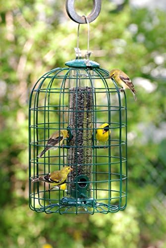 Audubon Squirrel Proof Caged Tube Feeder
