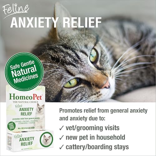 HomeoPet Feline Anxiety Relief, Supplement for Cats, 15 Milliliters | Natural pet stress and anxiety support for cats