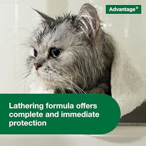 Advantage Cat Flea & Tick Shampoo for Kittens & Adult Cats | Kills Fleas & Ticks | 8 oz.