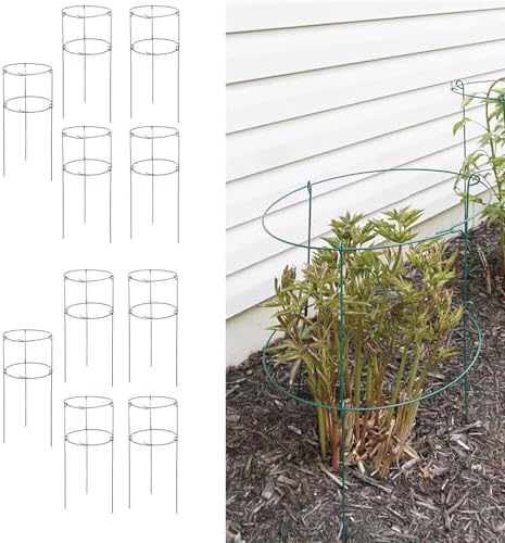 MTB Supply 5 Pack 36" x 18" Peony Double Ring Plant Support,Plant Support Stakes for Tomatoes Peony Lily Rose Plant Support Rings Peony Cages for Outdoor Plants Flowers Vegetables
