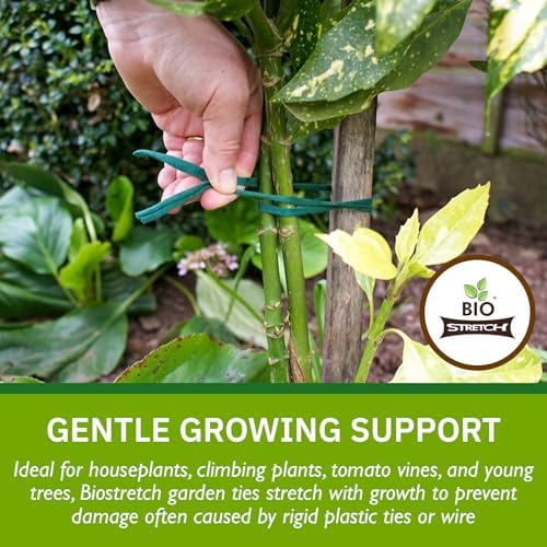 Bio-Stretch Soft Garden Twine & Plant Ties for Outdoor Plants, 1 Ball Green