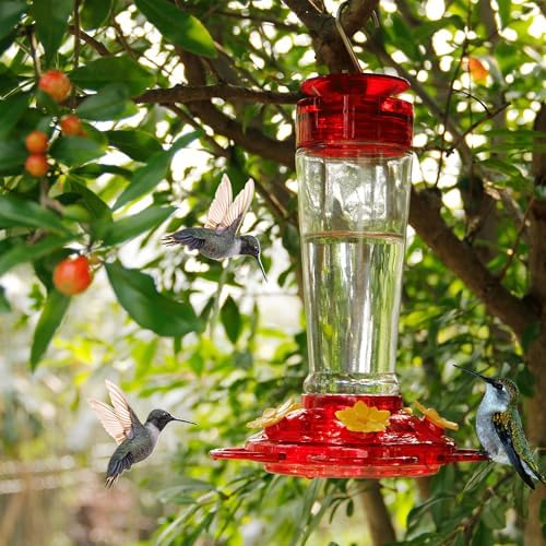 Shrdaepe Hummingbird Feeder, Glass Bottle Bird Feeders, 5 Feeding Ports, 10-Ounce Nectar Capacity