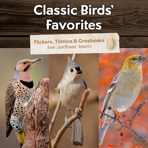 Morning Song Sunflower Hearts & Chips Wild Bird Food, No Mess Sunflower Seeds for Birds, 5.5-Pound Bag | No Mess Sunflower Seeds for Birds