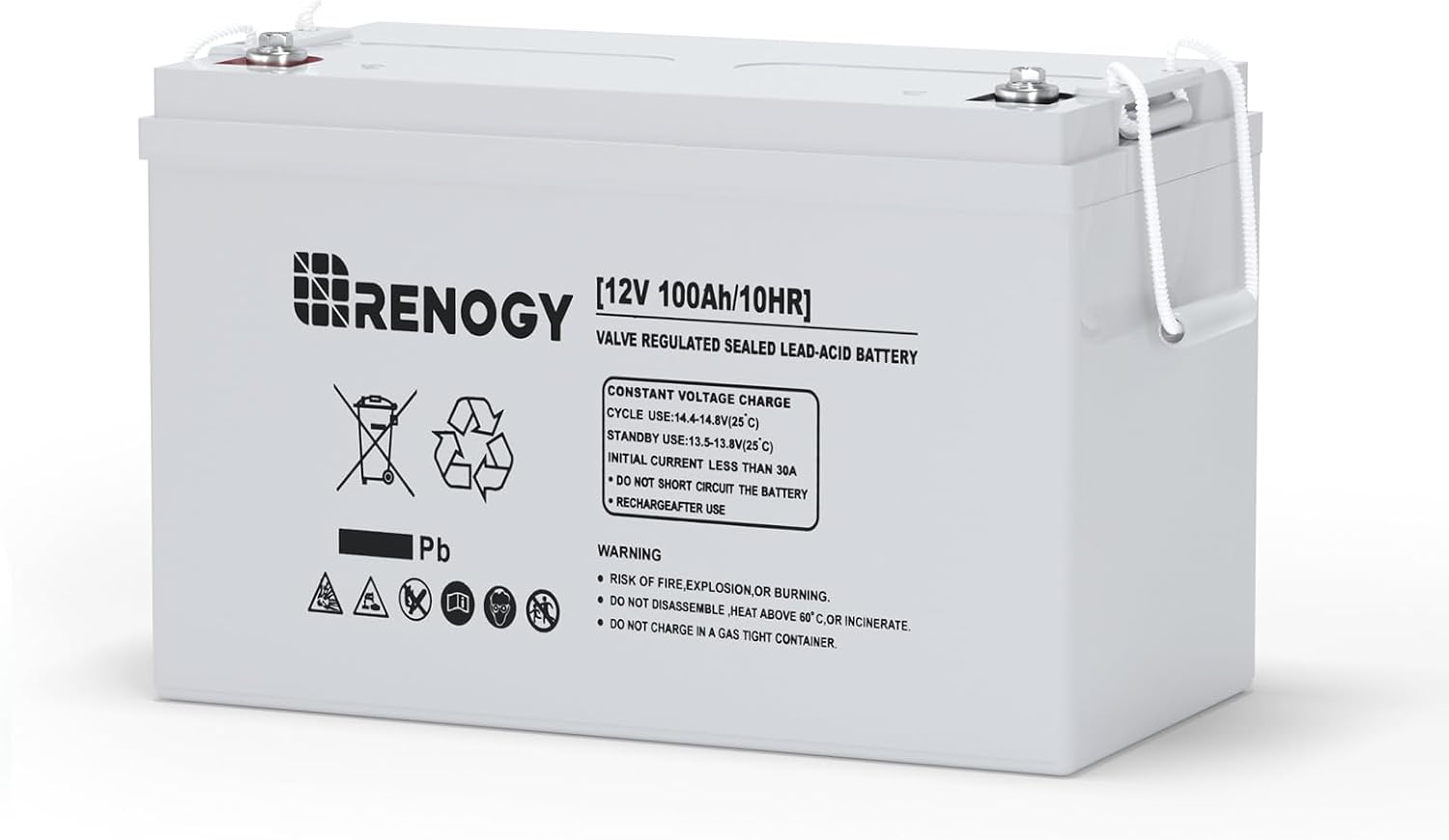 Renogy Deep Cycle AGM 12 Volt 100Ah Battery, 3% Self-Discharge Rate, 1100A Max Discharge Current, Safe Charge Appliances for RV, Camping, Cabin