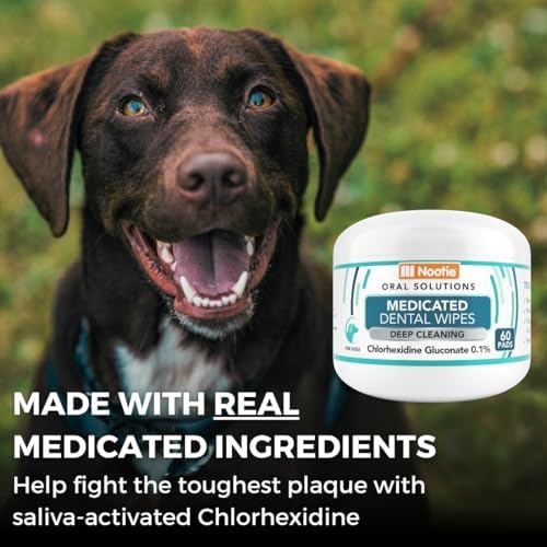 Nootie Medicated Dental Wipes for Dogs with Chlorhexidine, 60 Ct