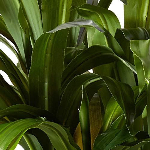 Nearly Natural 35in. Sansevieria with Black Planter and 4ft. Corn Stalk Dracaena Silk Plant (Real Touch), Green