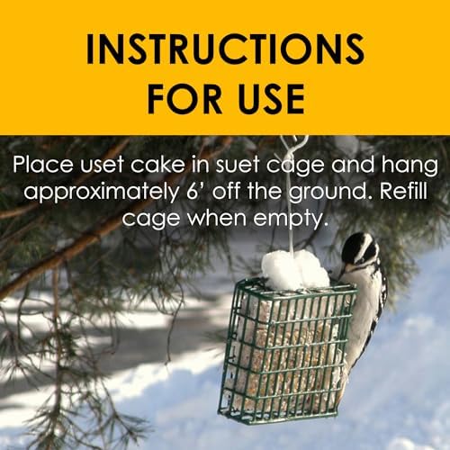 Heath Outdoor Products birds DD4-10 All Season High Energy Suet Cake, Case Of 10