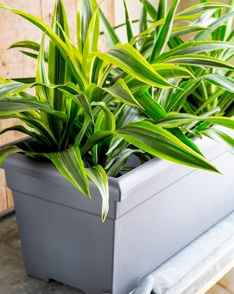The HC Companies Romana Planter Box, 28 Inch, Clay, 1-Pack | Plastic, Drainage Plug, Lightweight, UV-Resistant, for Garden, Patio, Balcony & Fence