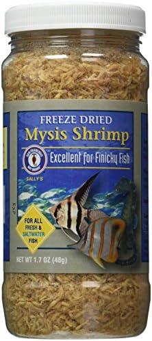 San Francisco Bay Brand Freeze-Dried Mysis Shrimp - Premium Fish Food for Live Fish, Shrimp Food