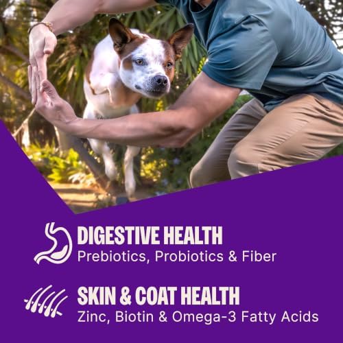 Wellness CORE+ Small Breed Adult Dry Dog Food with Freeze Dried Pieces, Wholesome Grain Kibble+, Natural, High Protein, Turkey and Chicken Recipe, 4 lb Bag