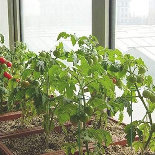 30 Inch Or 16 InchPlant Stakes for Flowers - 5 Pack, Adjustable Height