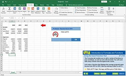 Professor Teaches Office 2019 & Windows 10 - Training Software for Microsoft Office & Windows 10 Includes Interactive Training for Word, Excel