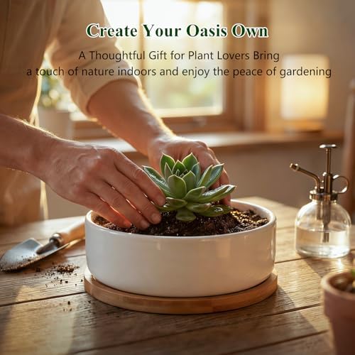 ZOUTOG 2 Pack 6" Ceramic Succulent Pots, White Planters with Drainage Tray