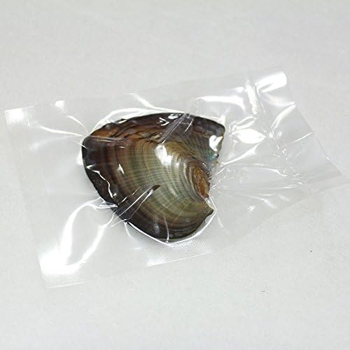 10PC Freshwater Pearl Cultured Oyster with Round Pearl Inside for Gift, Fun for Children, Family, Friends, Party (6-8mm, 10PC)