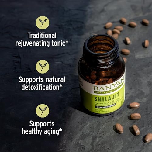 Banyan Botanicals Shilajit – 90 Pure Pressed Tablets for Energy & Vitality*