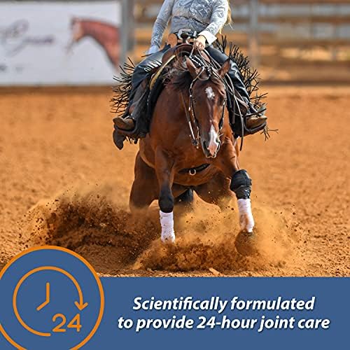 Farnam MaxFlex XR Extended Release Joint Supplement for Horses, Provides a continuous supply of joint health ingredients for 24 hours, 0.9375 pound