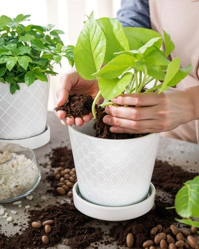 EFISPSS Ceramic Plant Pots, 5 Inch Planters with Drainage Holes and Ceramic Tray, Relief Design Flower Planter
