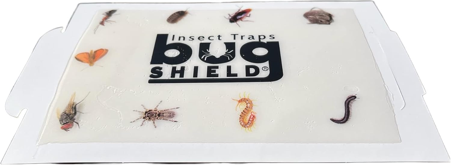 Bug Shield Sticky Glue Traps 72 Glue Boards, All Types of Incets, Spiders, Cockroaches, Ants, Cave Crickets, and More. Professional Strength Glue.