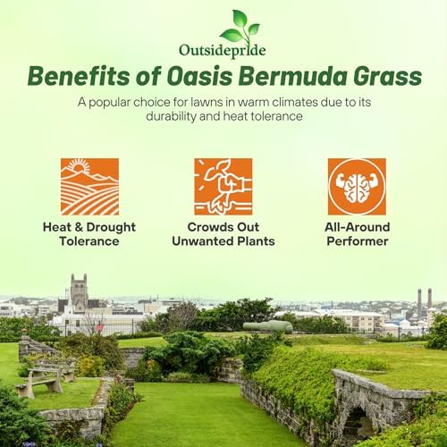 Outsidepride Oasis Bermuda Grass Seed - 5 lbs Warm Season, High Traffic, Heat Resistant, Drought-Tolerant, Low-Maintenance, Fast Growing Turf Grass for Lawn, Ideal for Sunny Areas, Thick Coverage