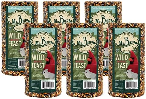 Mr. Bird WildBird Feast Cylinder, 1-Pack, 4 lbs | Wild Bird Seed for Outside Feeders | Premium Blend of Pecans, Sunflower Hearts & Millet | No Mess, No Melt