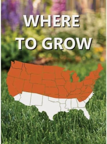 Jonathan Green (10765) Black Beauty Fall Magic Grass Seed - Cool Season Lawn Seed (3 lb)