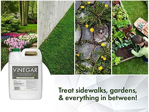 578 Vinegar Weed & Grass Killer Approved for Organic Production Pet Safe Glyphosate Free Herbicide, Gallon 1, Yellow