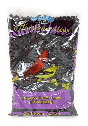 Wholesale C.B Black Oil Sunflower Seeds 1 Lb