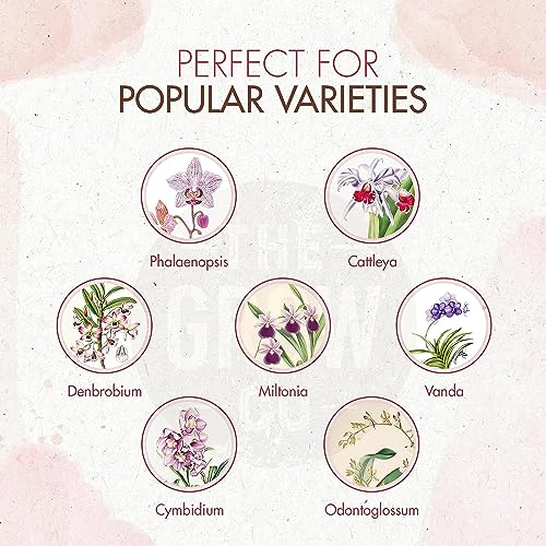Orchid Plant Food (5 oz