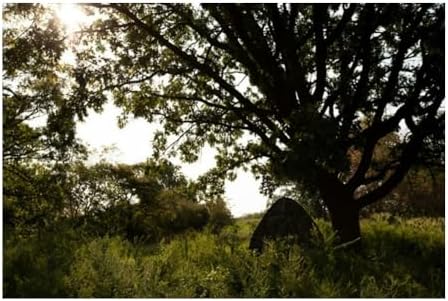 Ameristep Gunner Lightweight Durable 58" x 56" x 57" Compact Size 1-Person Capacity Portable Hunting Ground Blind - Mossy Oak Break-Up Country