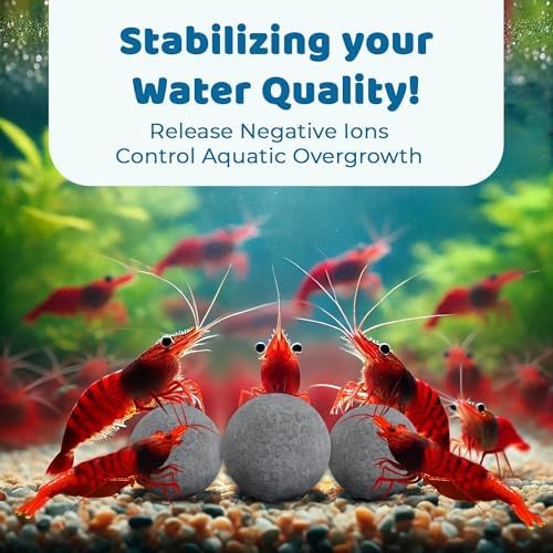 SunGrow Shrimp Balls, Aquarium Water Conditioner Balls, Successful Shedding, Increase Survival Rate, Impart Vibrance, Cool Décor with Wellness Benefits