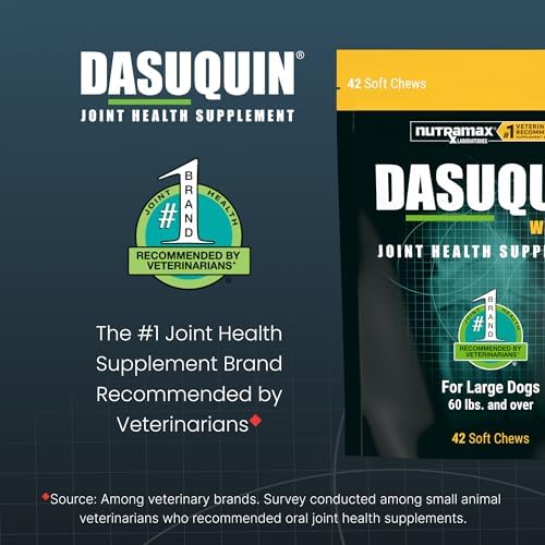 Nutramax Dasuquin MSM Joint Supplement for Large Dogs, Soft Chews, 84ct | Glucosamine and Chondroitin, ASU, MSM, Supports Healthy Joints, For Dogs Over 60 lbs, All Ages, Soft Chews